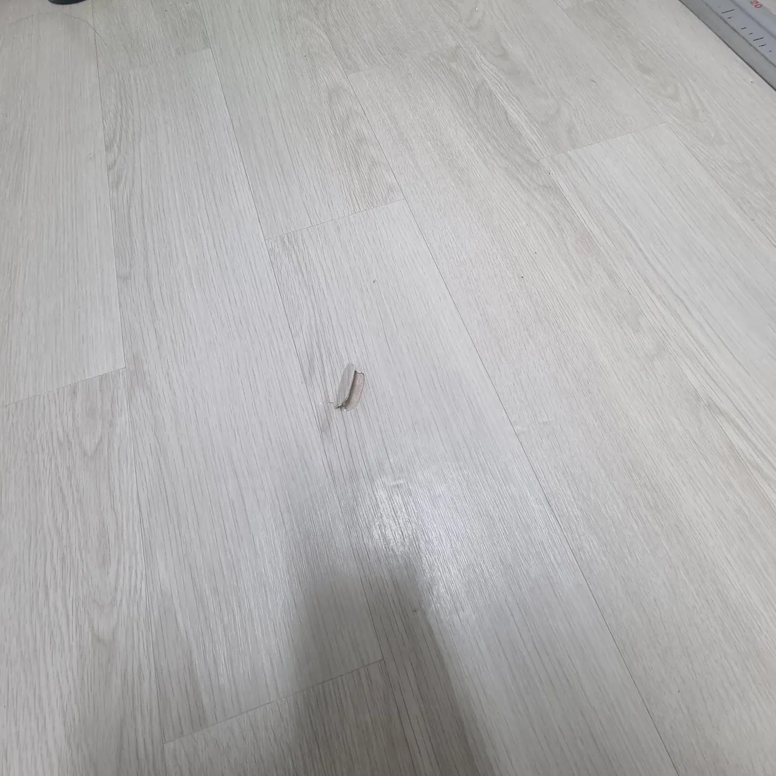 시공 전 — 가늘게 갈라진 자국 보수